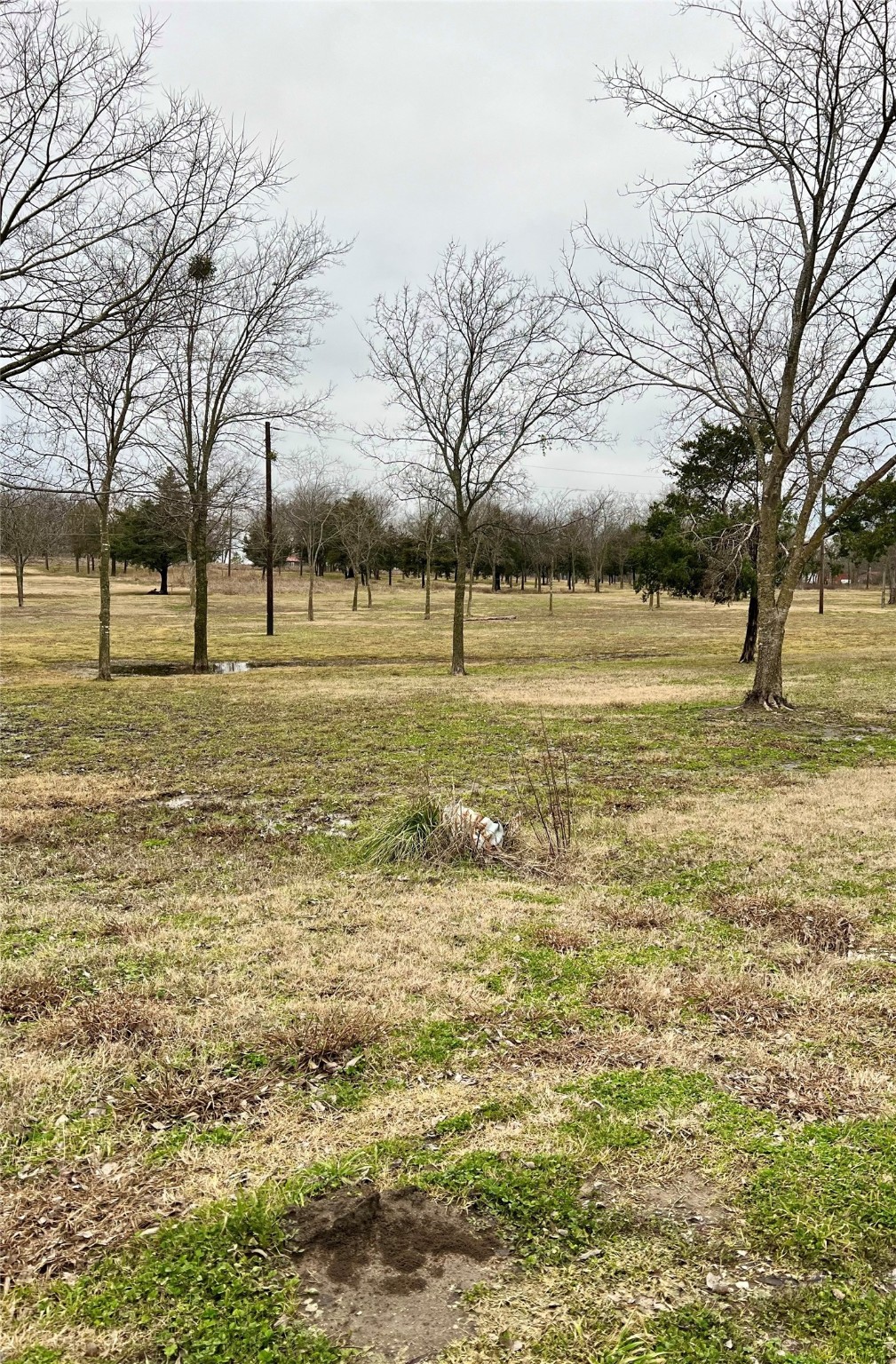  lone oak,  TX 75453