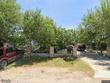 8210 tweety st, donna,  TX 78537
