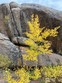 0 northwoods dr # 0, red feather lakes,  CO 80545