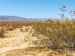 29 palms,  CA 92277