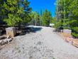 451 mescalero dr, red feather lakes,  CO 80545
