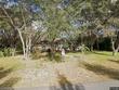  hernando,  FL 34442