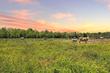 11588 fm-1458, sealy,  TX 77474