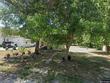 203 n jefferson st, humansville,  MO 65674