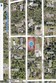  paisley,  FL 32767