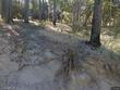  cedarpines park,,  CA 92322