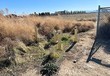 antelope acres,  CA 93536