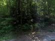 245 county road 947, crane hill,  AL 35053