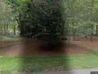 2313 beechwood dr, waxhaw,  NC 28173