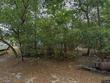  altamonte springs,  FL 32701