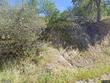  california hot springs,  CA 93207