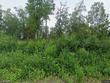  wasilla,  AK 99623