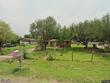  mission,  TX 78572