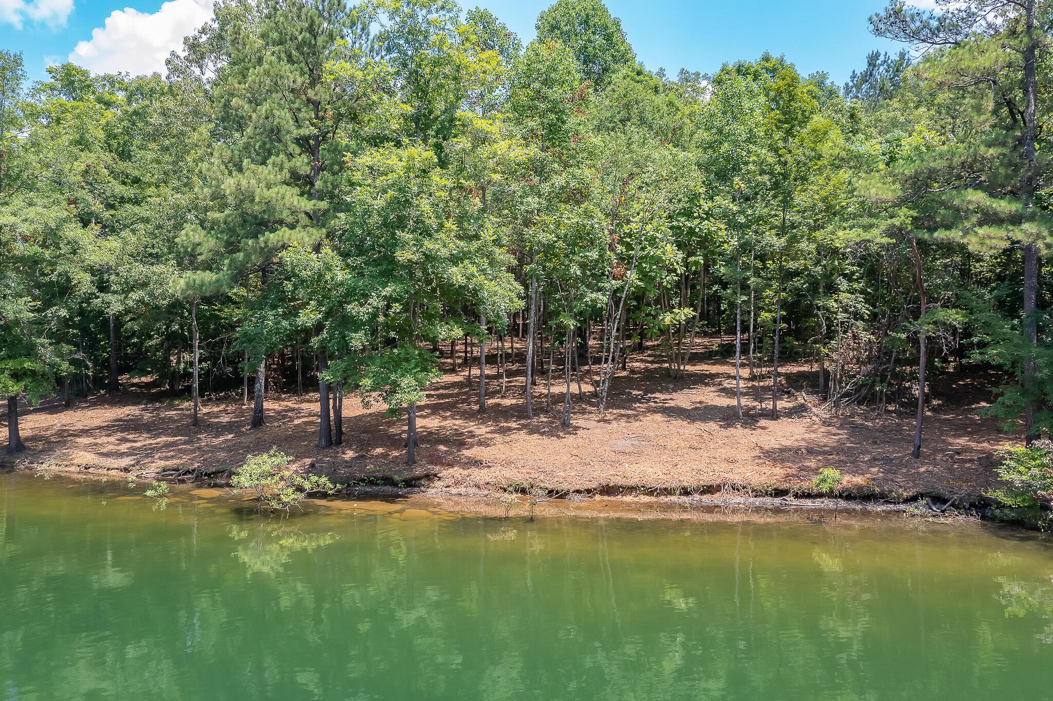 county road 174, crane hill,  AL 35053