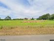 310 county road 1117, cullman,  AL 35057