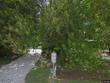  sarasota,  FL 34242