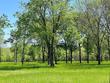 lot 20 rs county road 1503, east tawakoni,  TX 75472