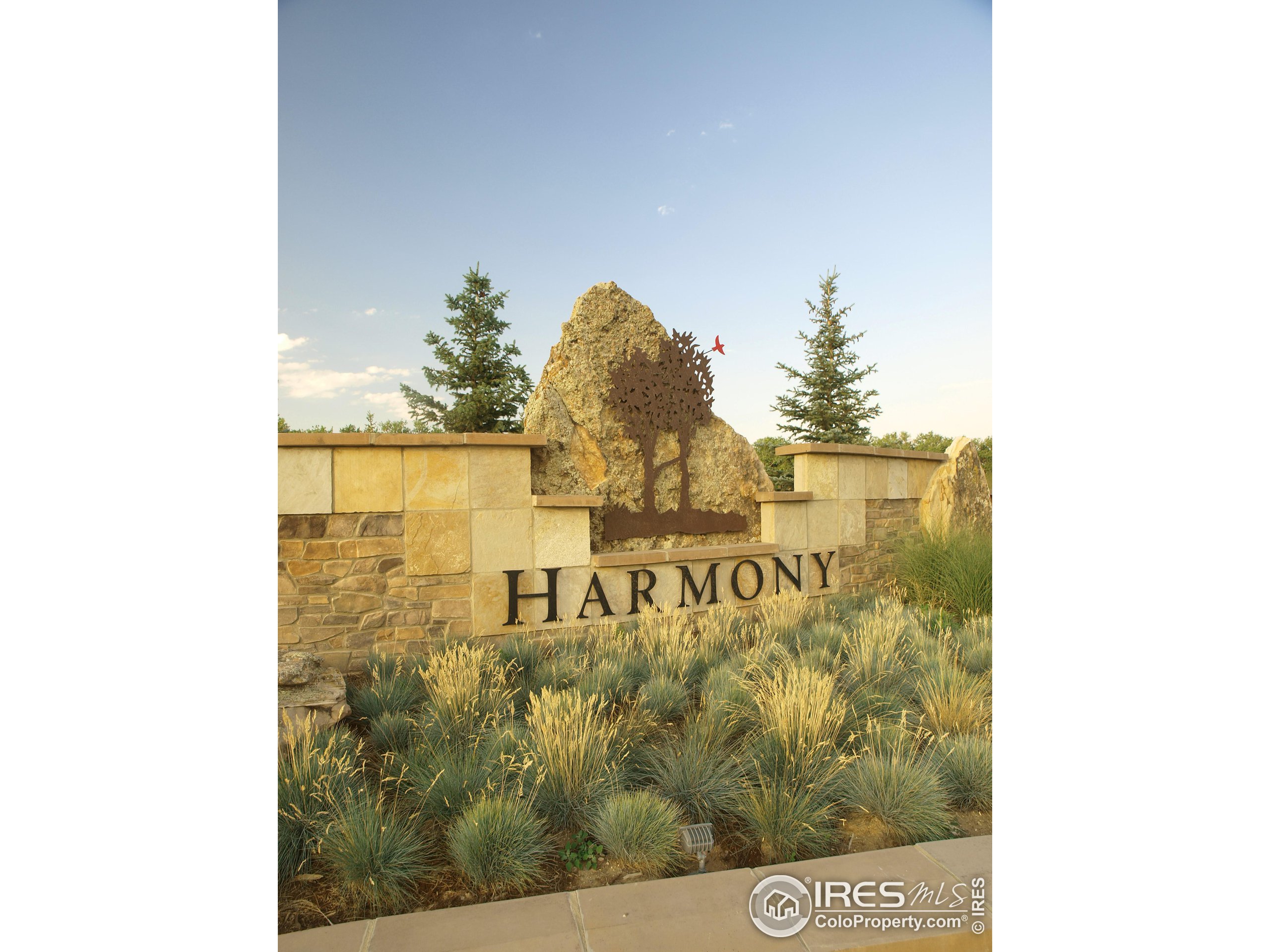4293 mountain shadow way, timnath,  CO 80547
