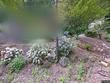 19184 view dr, west linn,  OR 97068