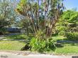  bradenton,  FL 34209