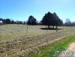 115 pr 4390, leesburg,  TX 75451