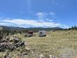 609 navajo rd, red feather lakes,  CO 80545