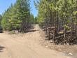 156 penobscot ct, red feather lakes,  CO 80545