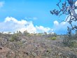  ocean view,  HI 96737