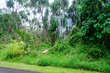  pahoa,  HI 96778