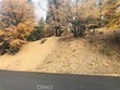  big bear,  CA 92315