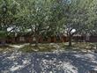  weslaco,  TX 78596