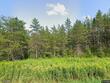  idlewild,  MI 49642