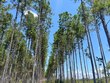 . pea market road, columbia,  AL 36319