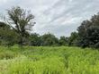 519 sunflower ln, new ulm,  TX 78950