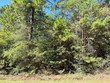 r32323 vantage drive, brookeland,  TX 75931