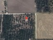  bell,  FL 32619