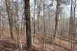 co rd 264, cullman,  AL 35057
