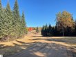  fife lake,  MI 49633