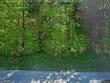 1604 mount olivet girkin rd, bowling green,  KY 42101