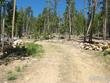 1244 mosquito dr, red feather lakes,  CO 80545