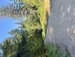  bridgeville,  CA 95526