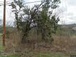 2620 crazyhorse pass, austin,  TX 78734