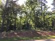 tbd n private road 52416, leesburg,  TX 75451