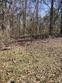 tbd cr 2605, pittsburg,  TX 75686