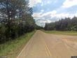 county road 1101, vinemont,  AL 35179