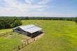120.5 acres county road 974, logan,  AL 35098