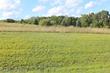  gregory,  MI 48137