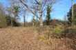 309 olive st sw, cullman,  AL 35055