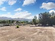  acton,  CA 93510