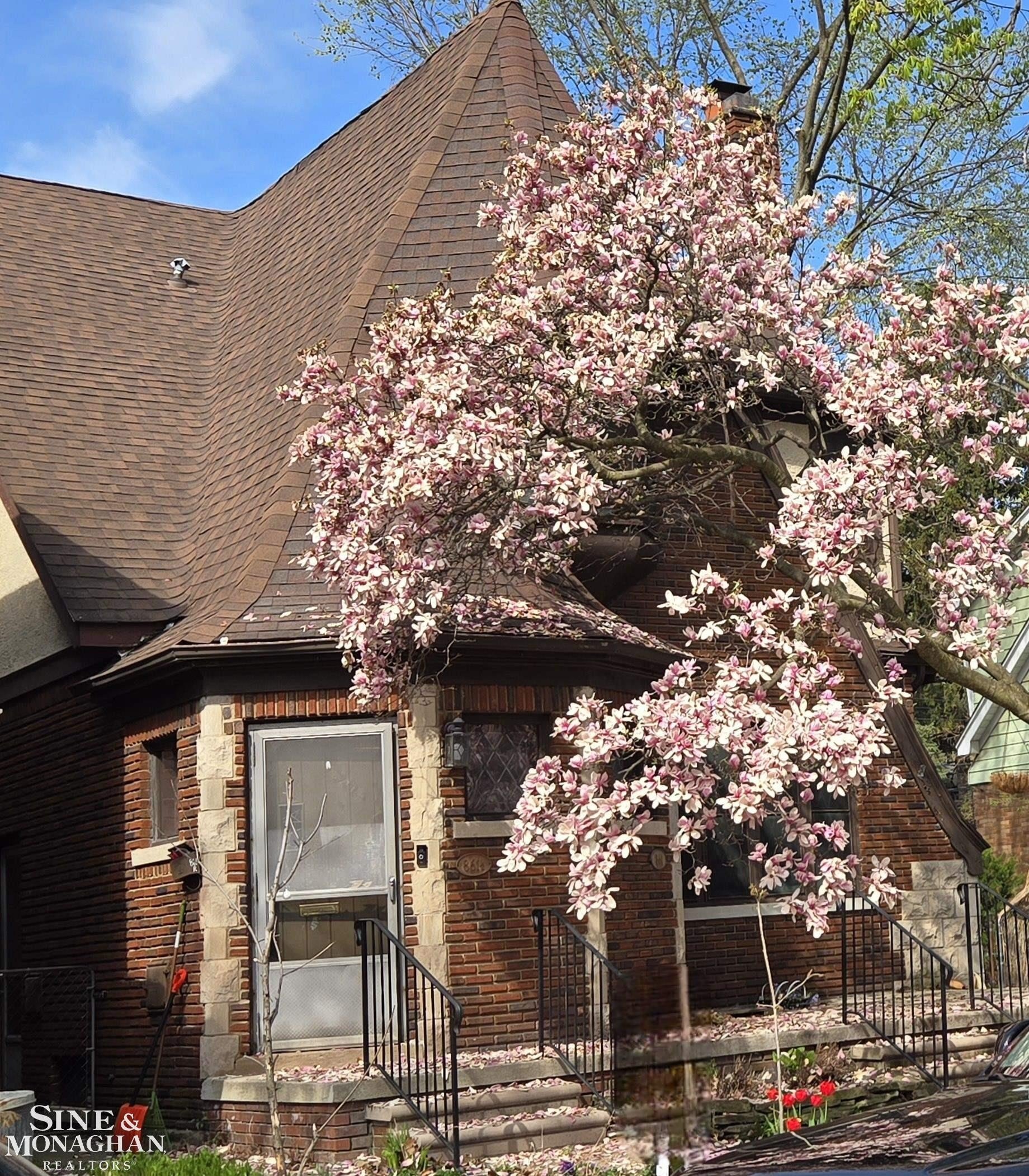  grosse pointe park,  MI 48230